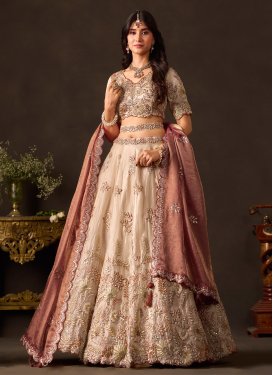 Embroidered Work Designer Lehenga Choli For Bridal in Beige