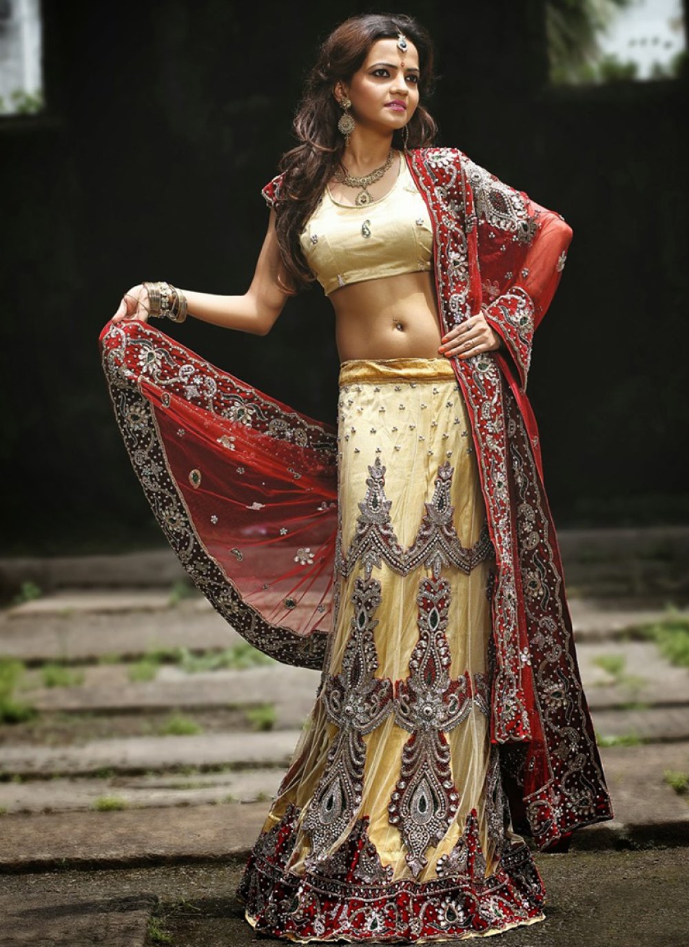 Cream And Red Embroidery Resham Work Satin Bridal Lehenga Choli. Online  Shopping Bridal Lehenga Choli At Gujarat.